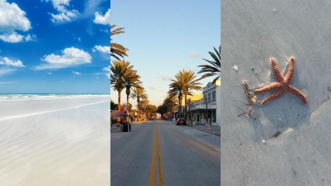 Solo Travel Guide for New Smyrna Beach